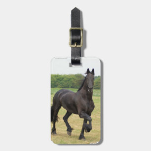 Märkre för Friesianhästbagage Bagagebricka