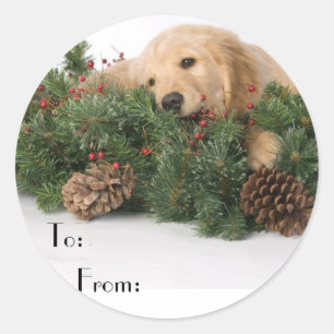 Märkre för gåva av Hund i julklapp Runt Klistermärke