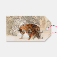 Märkre för gåva från Winter Tigers anpassningsbar