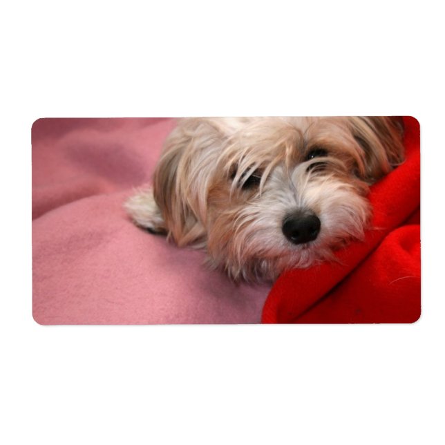 märkre för god jul-gåva fraktsedel (Framsidan)