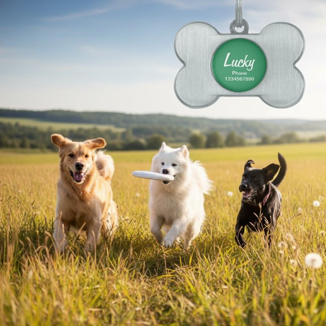 Märkre för hundkollar-ID för sällskapsdjur | Nycke ID-bricka Husdjur (dog tag keychain)