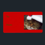 Märkre för julklapp fraktsedel<br><div class="desc">Märkrn med julklapp har "Lita",  ett brunt tabby katt med julhatt. Lita ser ut som om hon ler i bild. Märkre för gåva till djur älskare.</div>
