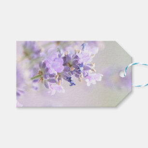 Märkre för lavendelBokeh fotografisk gåva Presentetikett