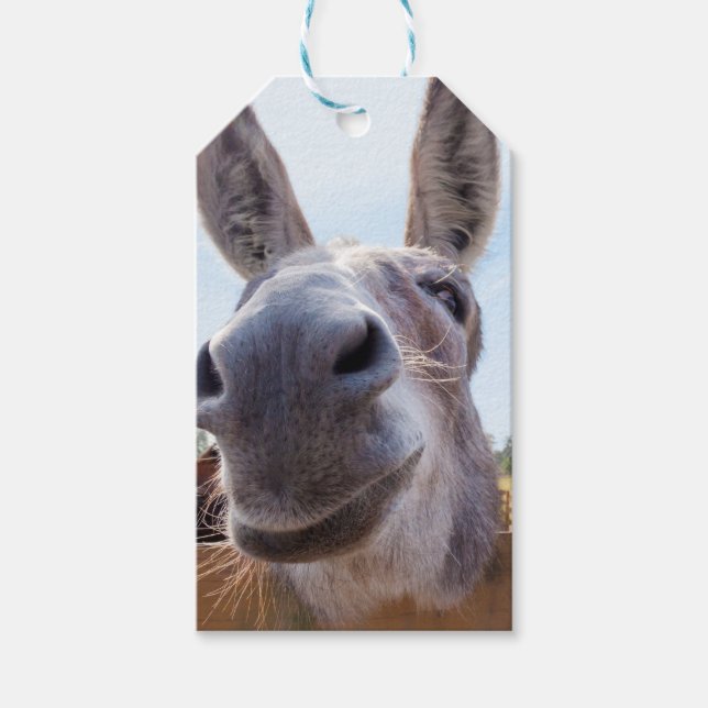 Märkre för leende Donkey Gift Presentetikett (Framsidan)