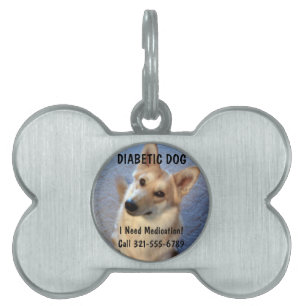 Märkre för legitimation för älsklings- namnbricka husdjur