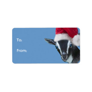 Märkre för nigeriansk Dwarf Goat Santa Goat-julgåv Adressetikett