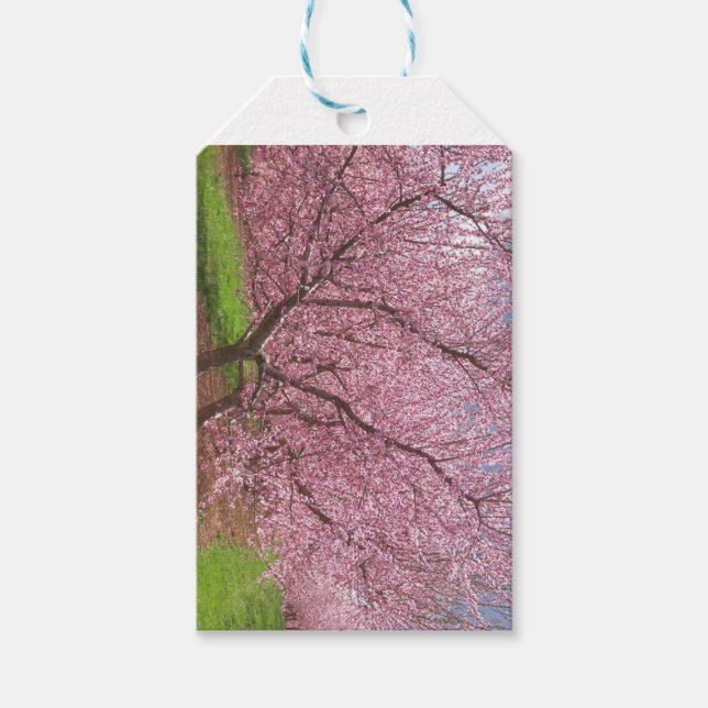 Märkre för Persikoport-Blommar Presentetikett (Framsidan)