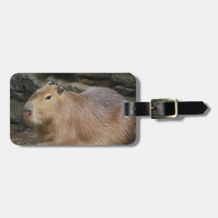 Märkre för vildCapybarabagage Bagagebricka