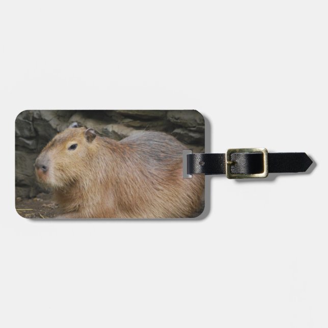 Märkre för vildCapybarabagage Bagagebricka (Horisontell Framsida)