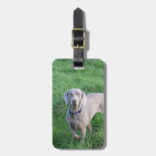 Märkre för Weimaraner älskarebagage Bagagebricka