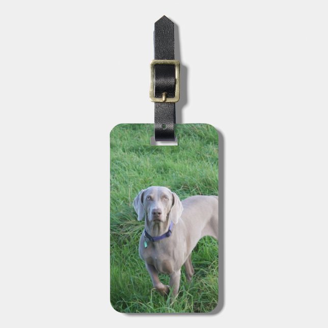 Märkre för Weimaraner älskarebagage Bagagebricka (Vertikal Framsida)
