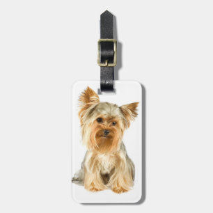 Märkre för Yorkie valpbagage Bagagebricka
