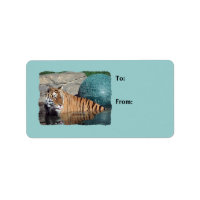 Märkre med bengal tiger Photo Light Blue Gift