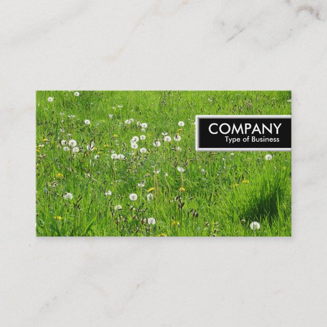 Märkrn kant - Dandelion Meadow 02 Visitkort (Framsida)