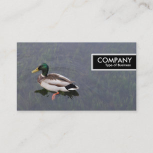 Märkrn kant - Mallard Anka Visitkort