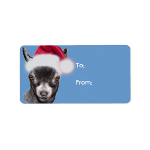 Märkrn Pygmy Goat Santa Goat jul Gift Adressetikett
