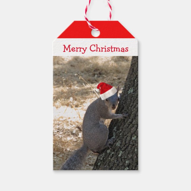 Märkrn Santa Squirrel jul Gift Presentetikett (Framsidan)