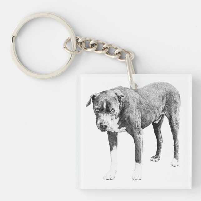 Märkrn Shaded Pit Bull Mini (Framsidan)