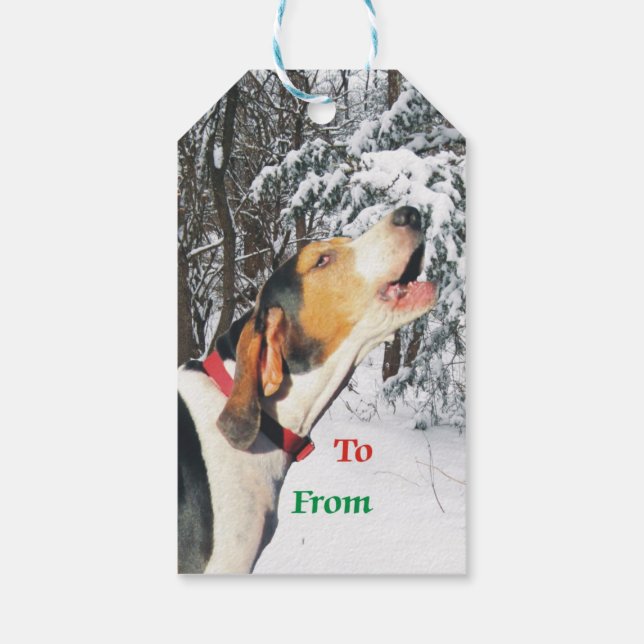 Märkrn Treeing Walker Coonhound julgåva Presentetikett (Baksidan)