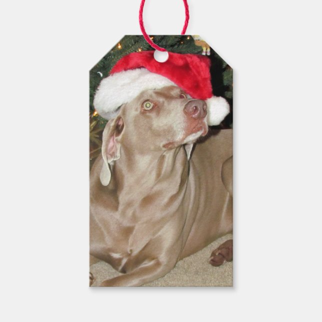 Märkrn Weimaraner Santa Tassar julgåva Presentetikett (Framsidan)