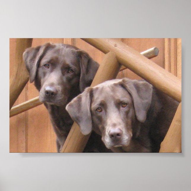 MARKS GALLERY POSTER (Framsidan)
