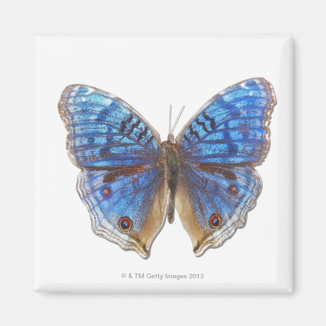 märkt Rhadama Magnet (Framsidan)