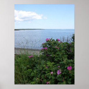 Marlboro strand, Maine affisch