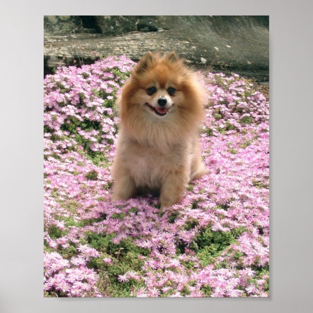 Marley med Rosa Flowers Poster (Framsidan)