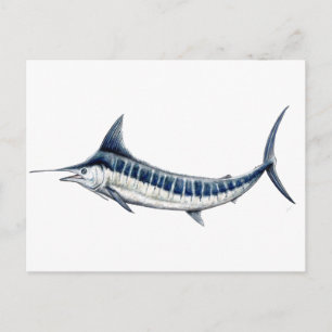 Marlin azul-redbubble vykort