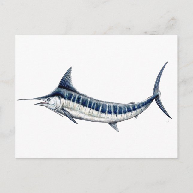 Marlin azul-redbubble vykort (Framsida)