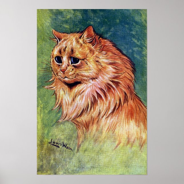Marmalade Cat med Blue Ögon Poster (Framsidan)