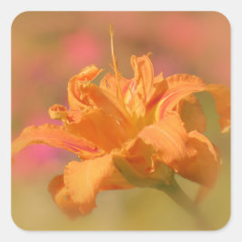 Marmalade - Daylily Fyrkantigt Klistermärke