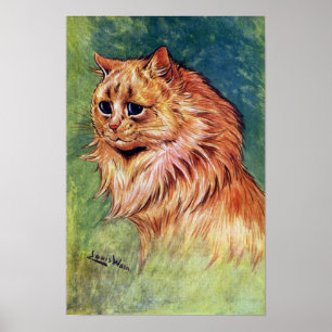 Marmaladekatt med blåttögon poster