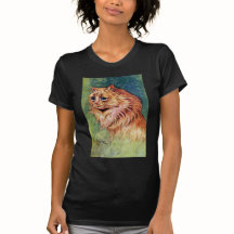 Marmaladekatt med blåttögon