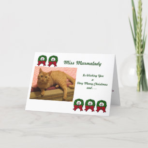 Marmalady Cat Rädding julkort Helgkort