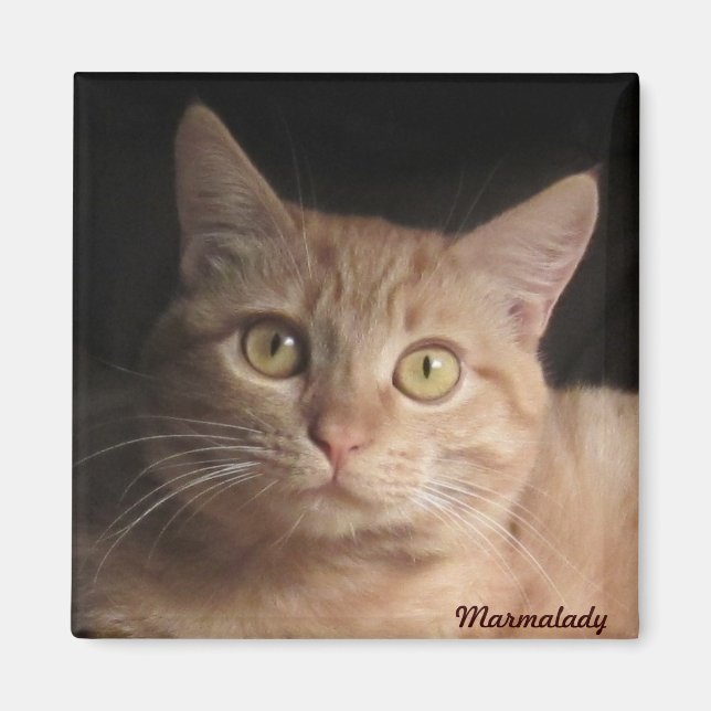 Marmalady Magnet (Framsidan)