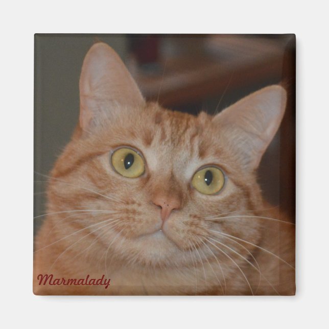 Marmalady & "The Smile" Magnet (Framsidan)