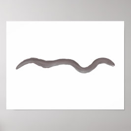 Marmorål Poster