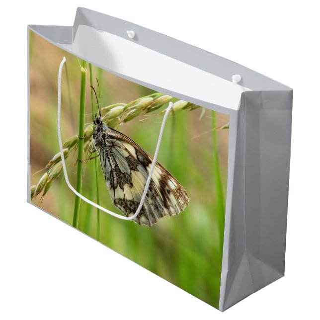 Marmorerad vit fjäril på gräs (Framsidan Vinklad)