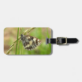 Marmorerad vit fjäril på gräs bagagebricka