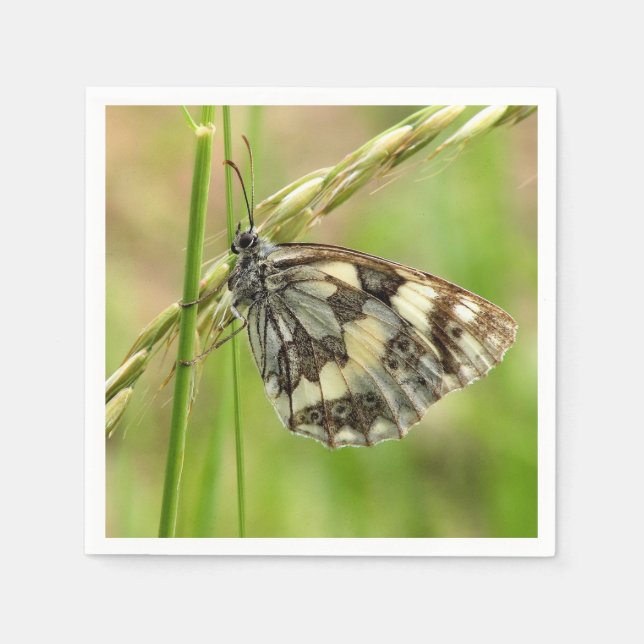 Marmorerad vit fjäril på gräs pappersservett (Framsidan)