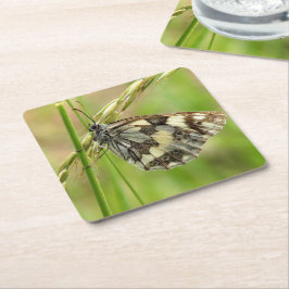 Marmorerad vit fjäril på gräs underlägg papper kvadrat