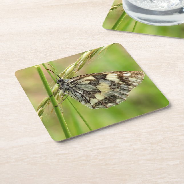 Marmorerad vit fjäril på gräs underlägg papper kvadrat (Vinklad)