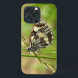 Marmorerad vitfjäril på gräs<br><div class="desc">Marmorerad vitfjäril på gräs. Matcha objekt som är tillgängliga i vårt lager.</div>