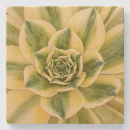 MarmorSucculishus kustfartyg Underlägg Sten