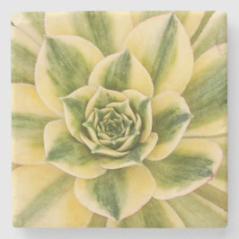 MarmorSucculishus kustfartyg Underlägg Sten