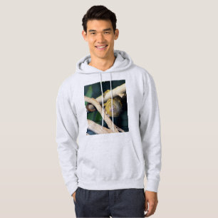 Marmoset Monkey Hi, där, Manar Hoodie