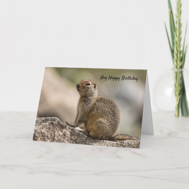Marmot Birthday-kort Kort (Framsida)