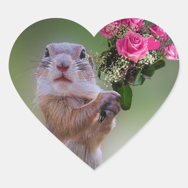 Marmot bouquet hjärtformat klistermärke (Framsida)