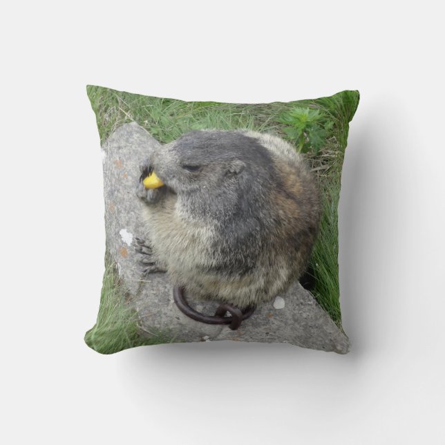 Marmot dekorativ kudde (Framsida)